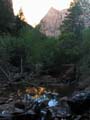 Zion - Lower Emarld Pool